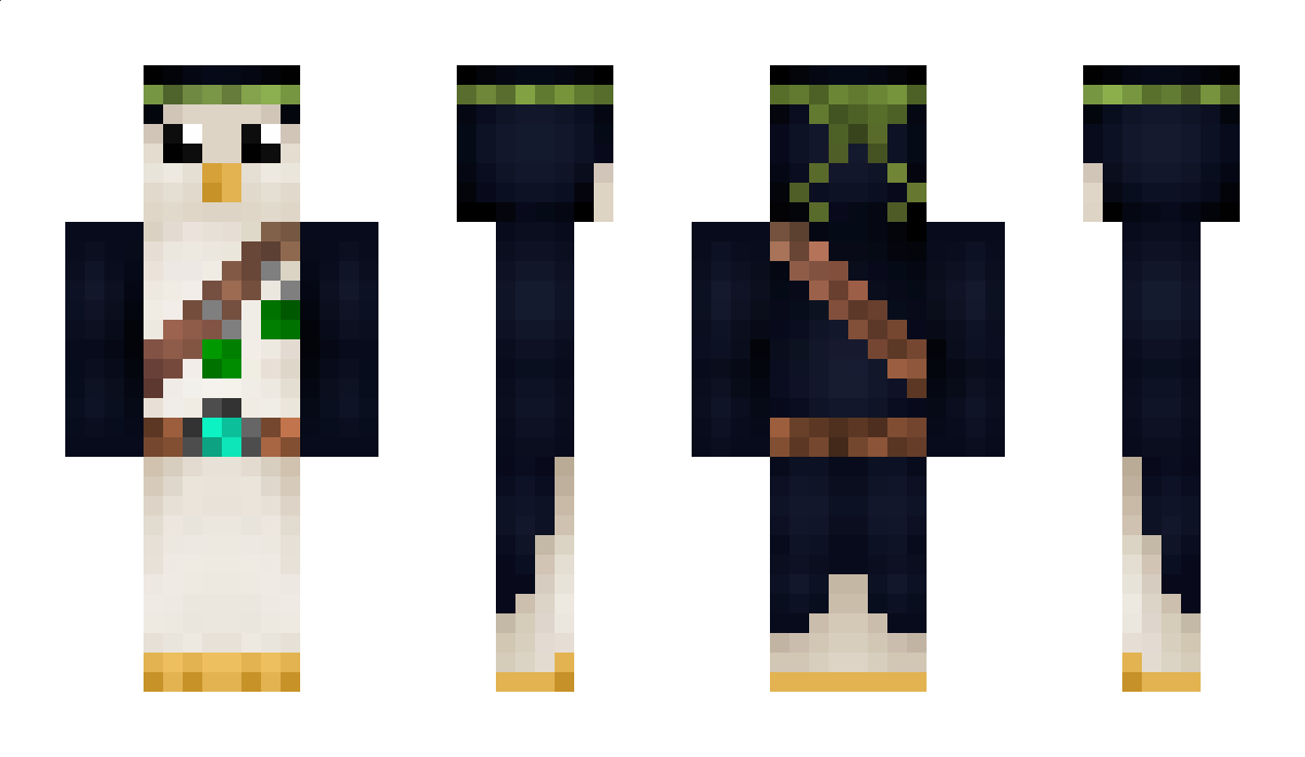 didler Minecraft Skin