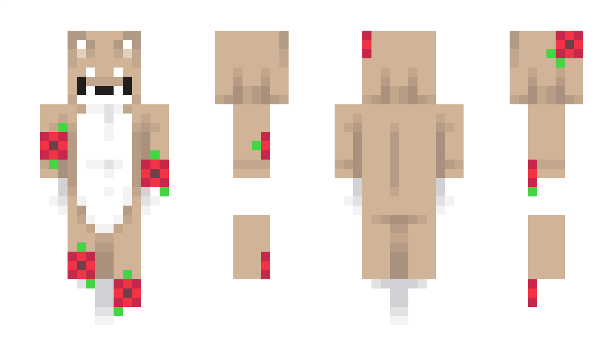 hr_pikslikker Minecraft Skin