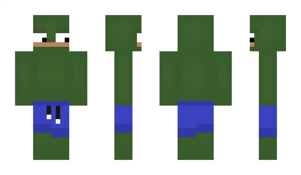 paul_959 Minecraft Skin