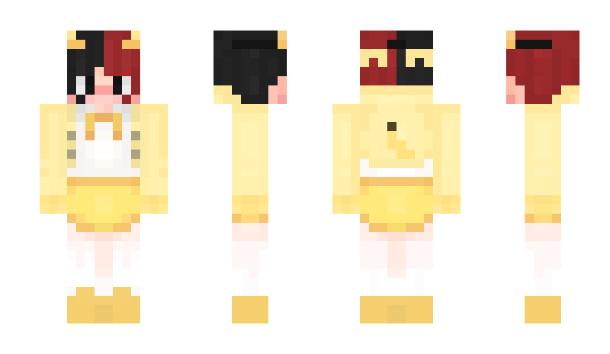 vaniui Minecraft Skin