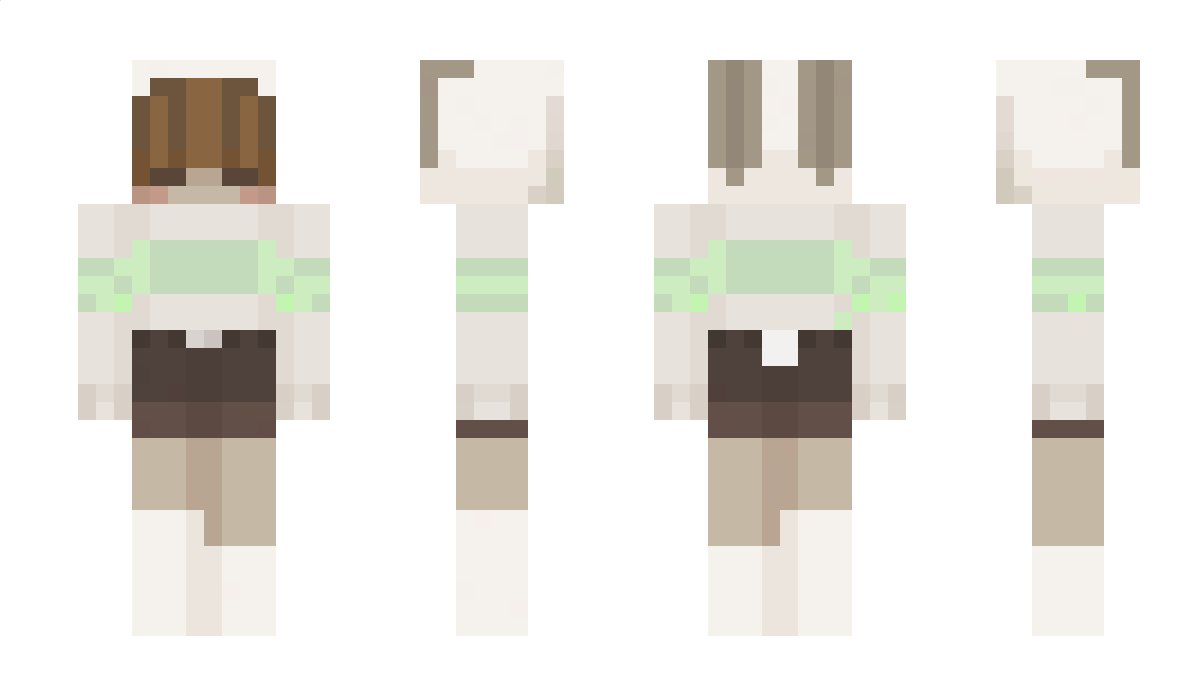 RoboBunny531 Minecraft Skin