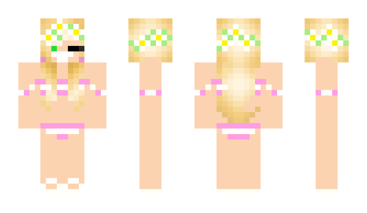 Bra Minecraft Skin