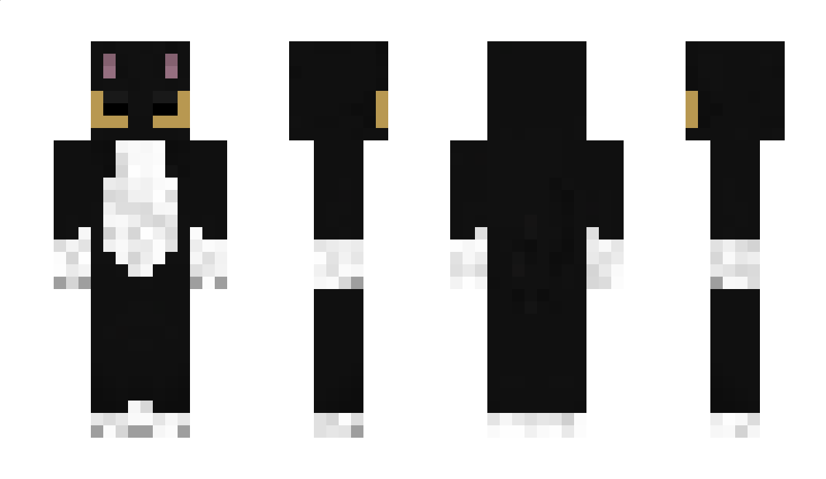 TuxedoCatOwner Minecraft Skin