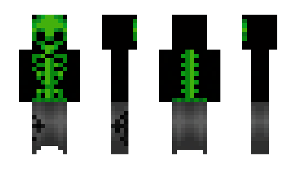 Pol1moN Minecraft Skin