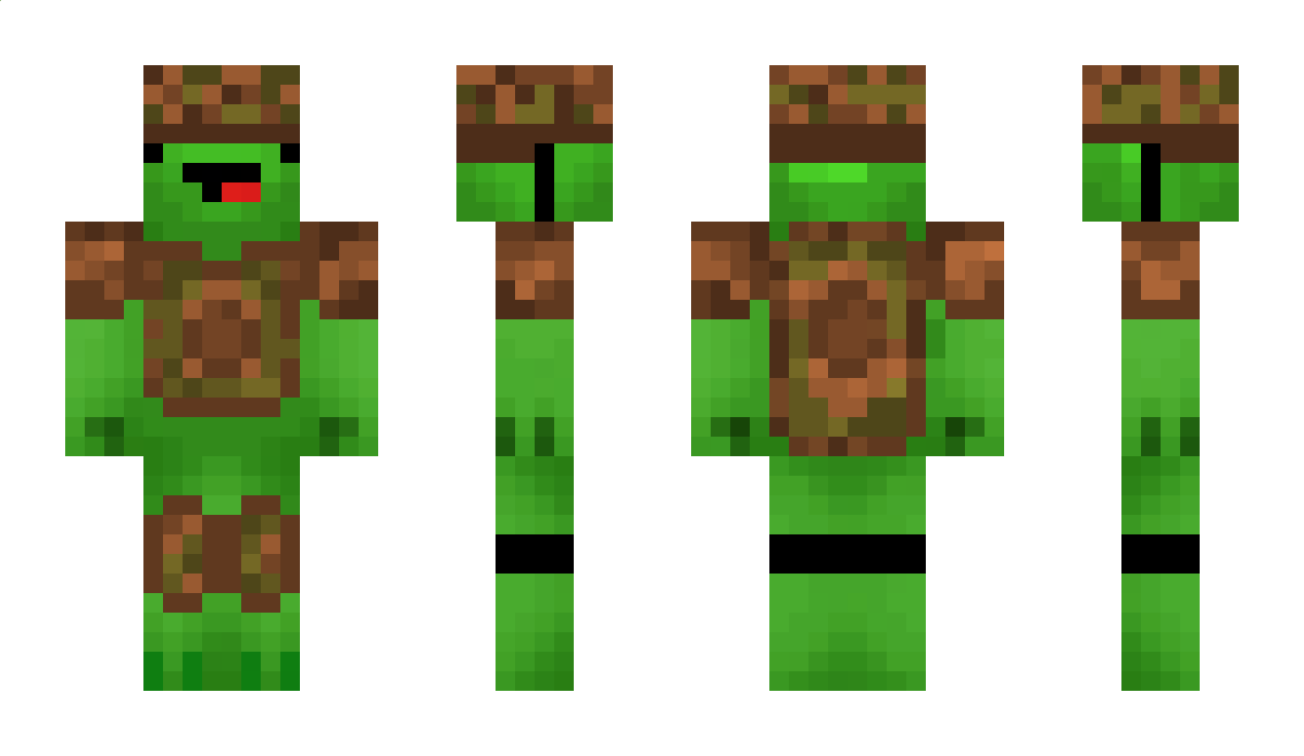 Fuzyturtle Minecraft Skin