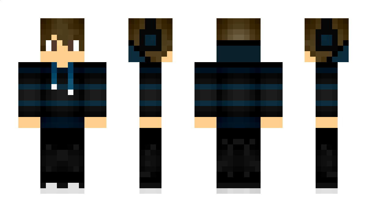 Domy Minecraft Skin