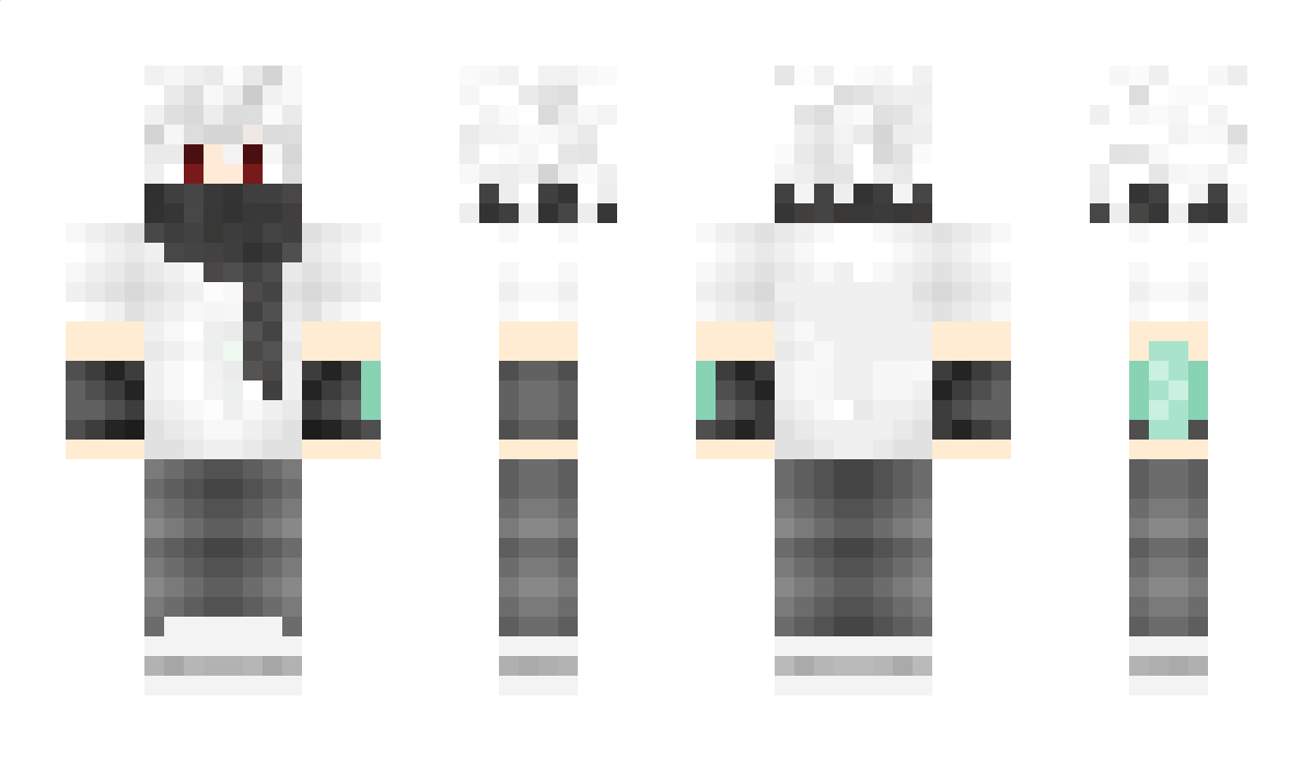 darkcube Minecraft Skin