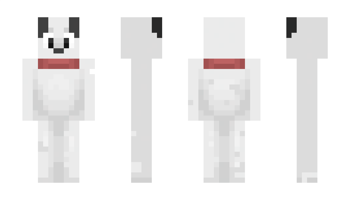 Schnopy2011 Minecraft Skin