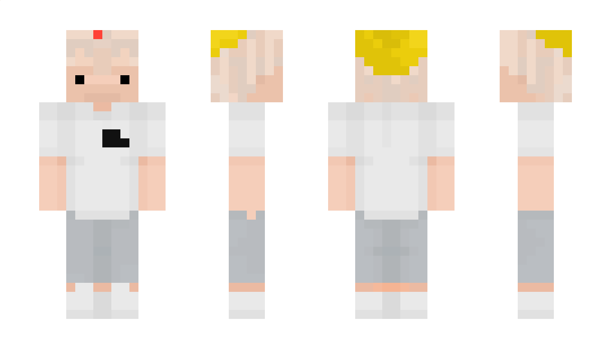 ME100 Minecraft Skin