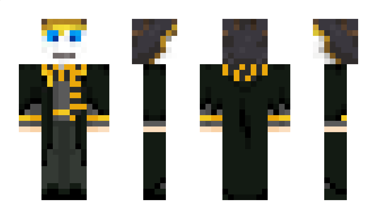 Henri_Potter Minecraft Skin