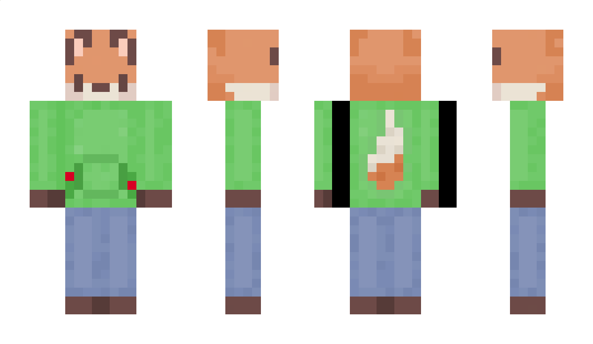 FoksiakYT Minecraft Skin