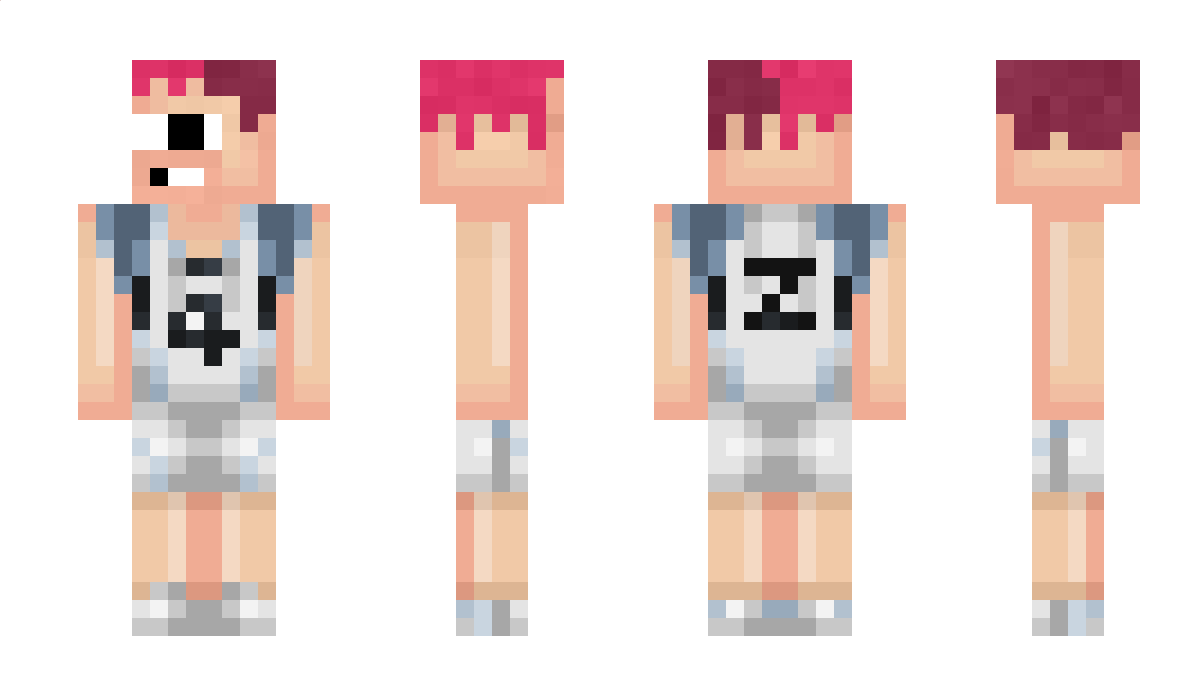 0097142245555 Minecraft Skin