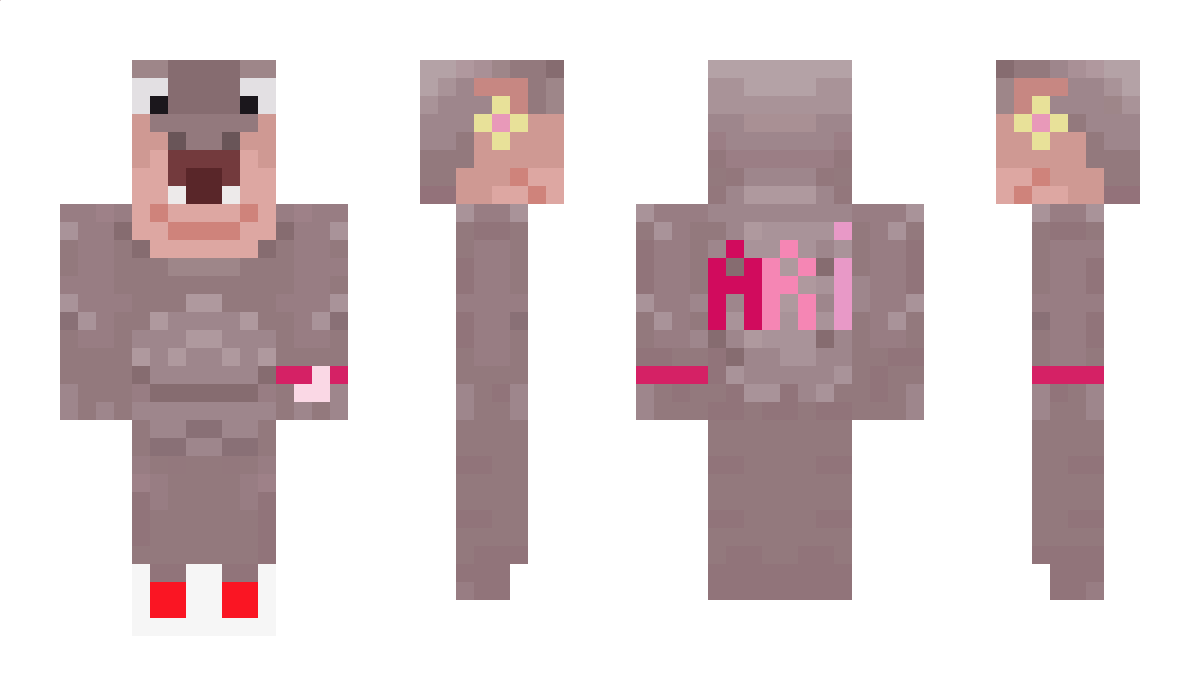 aarlicss Minecraft Skin