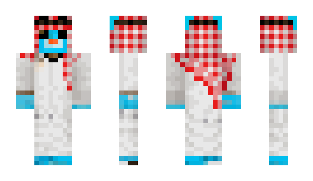 PV_Haider Minecraft Skin