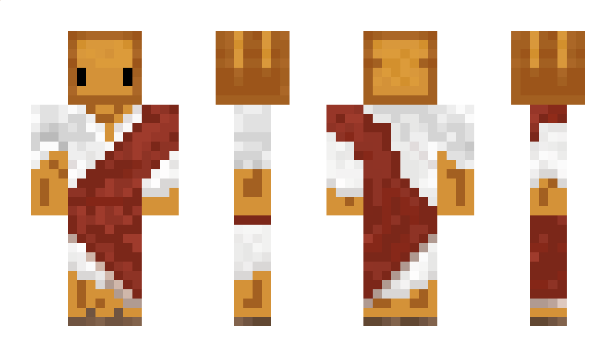 TostadaConHogao Minecraft Skin