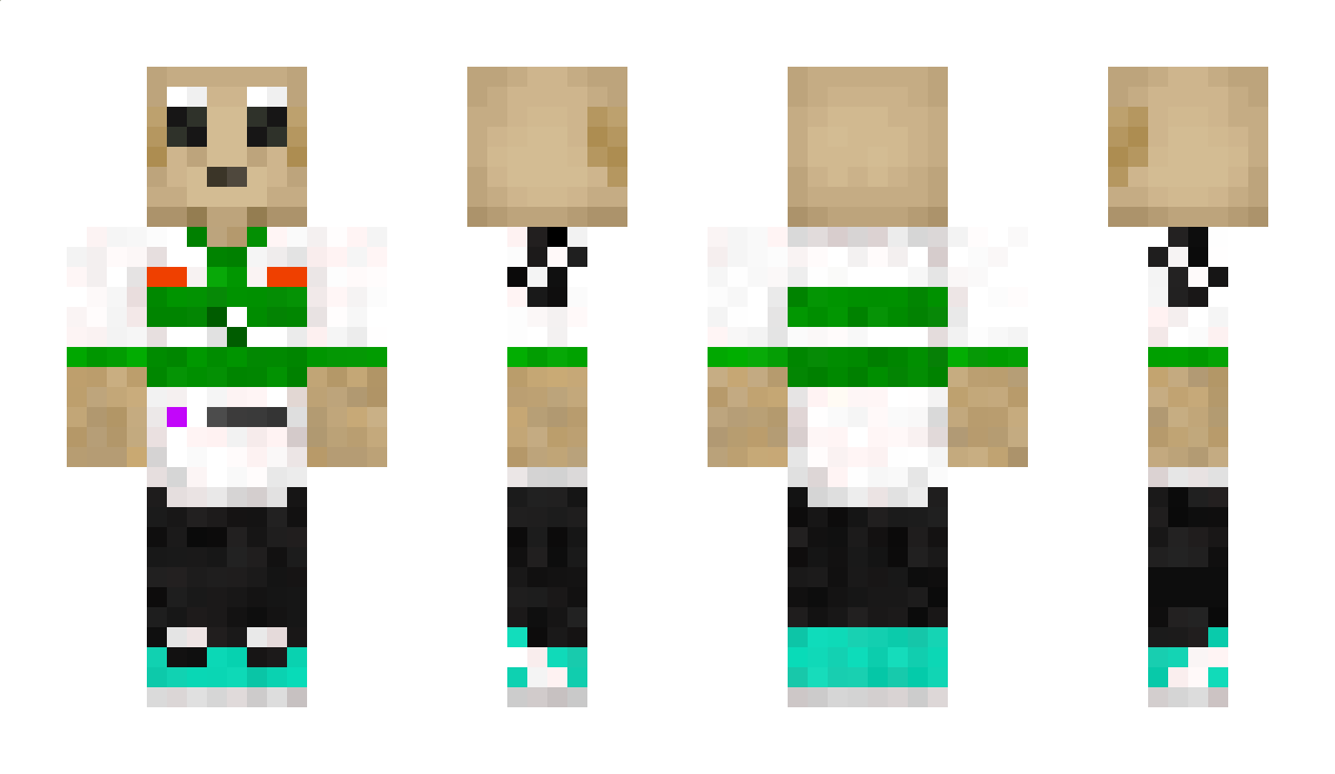 vinivaldox Minecraft Skin