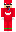 JaceFlashBatman Minecraft Skin