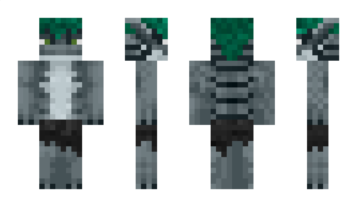 NarLod Minecraft Skin