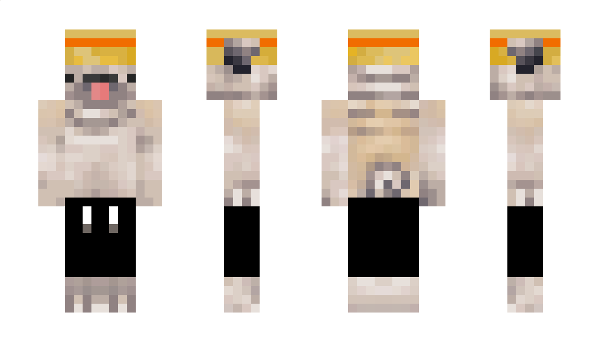 Sqwizoka Minecraft Skin