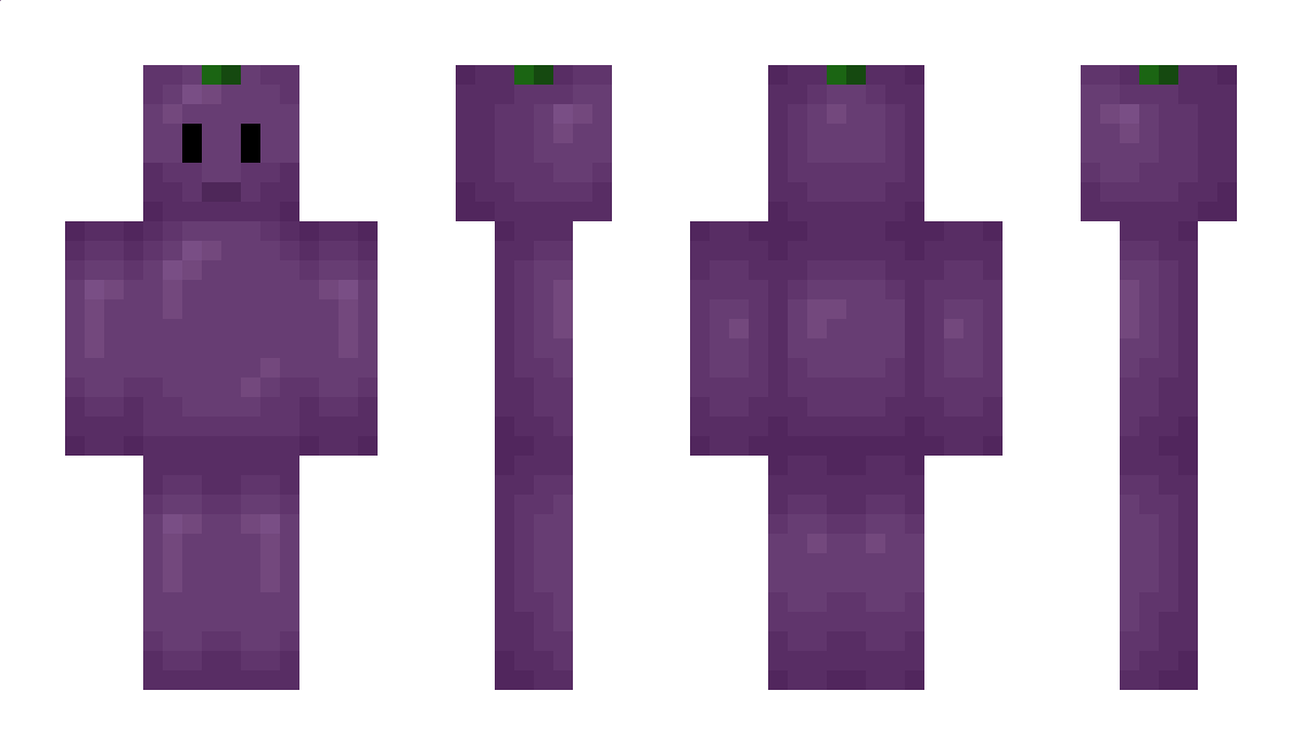 rwy Minecraft Skin