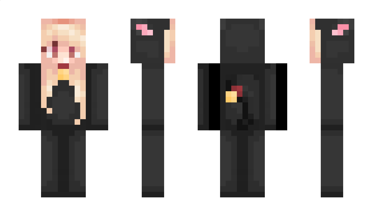 forro Minecraft Skin