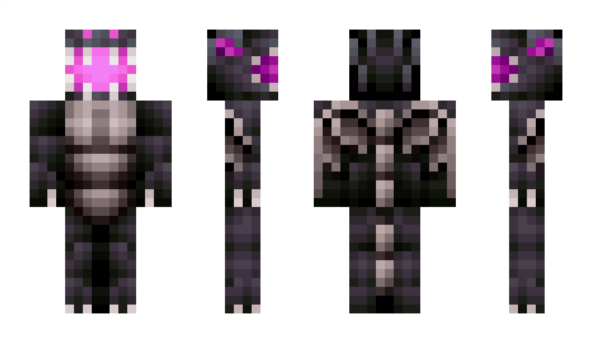 DragonsBane2805 Minecraft Skin