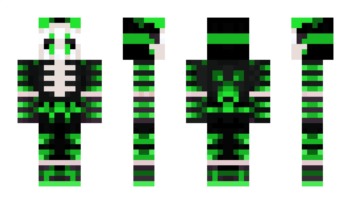 ToxicTerror86 Minecraft Skin