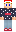 Galaxy_foxx Minecraft Skin