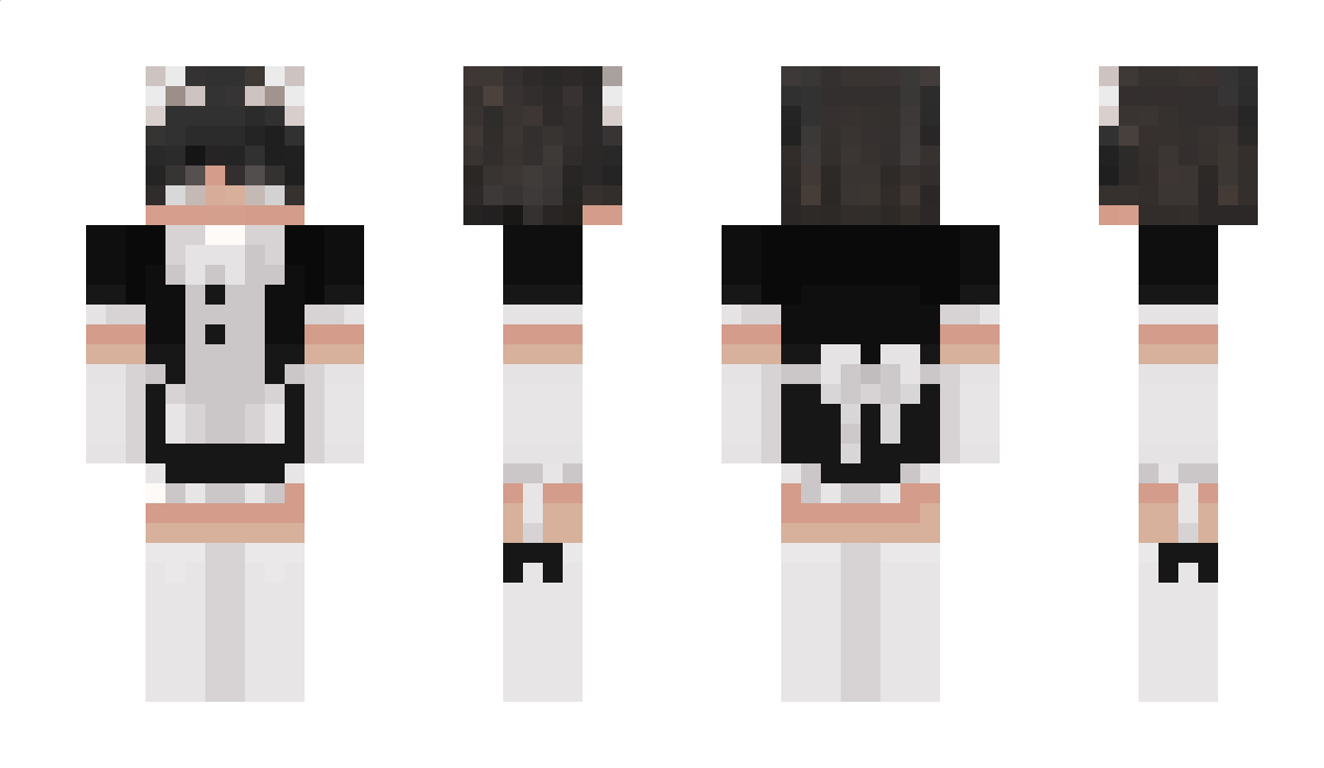 dustxstorm Minecraft Skin