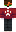 Snr_Nikoly Minecraft Skin