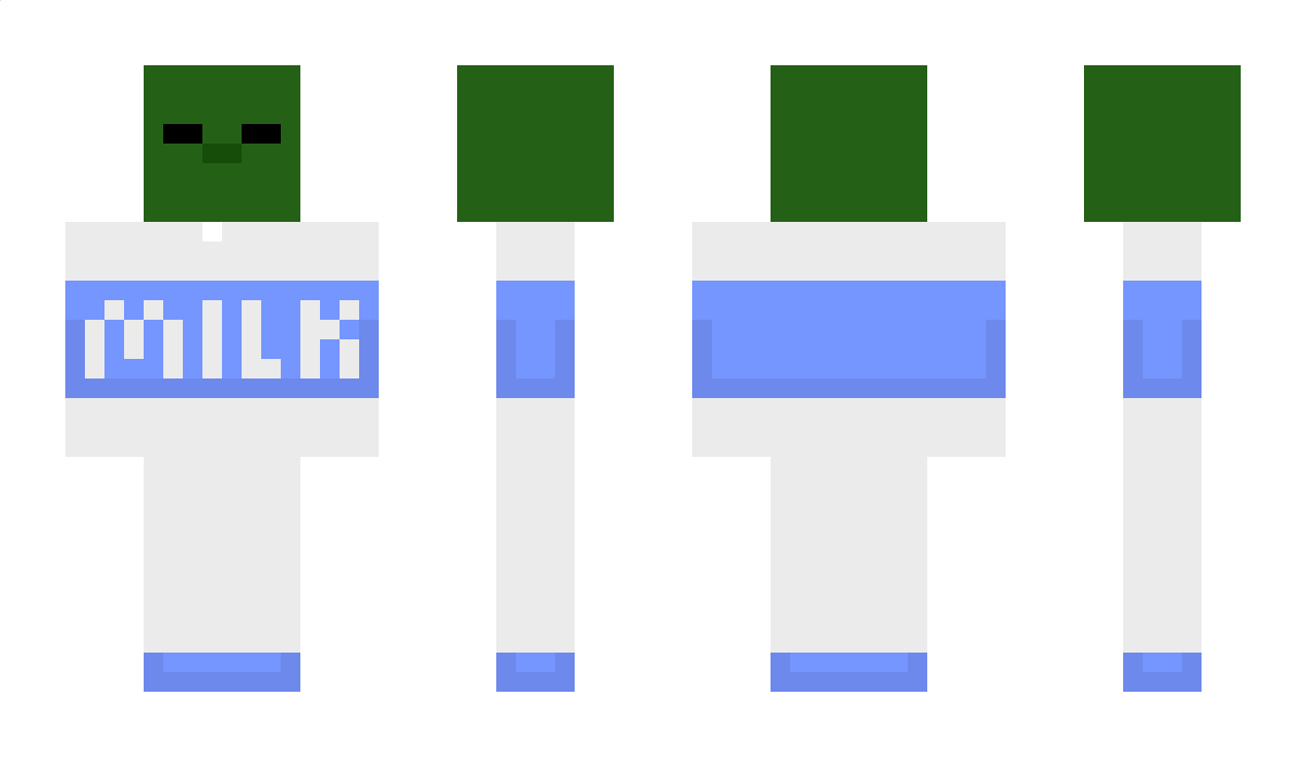 non11223309 Minecraft Skin