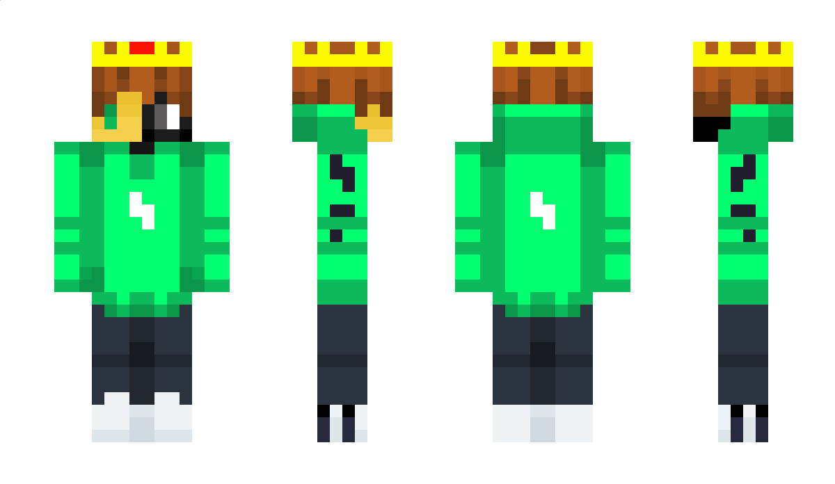 Linkarone Minecraft Skin