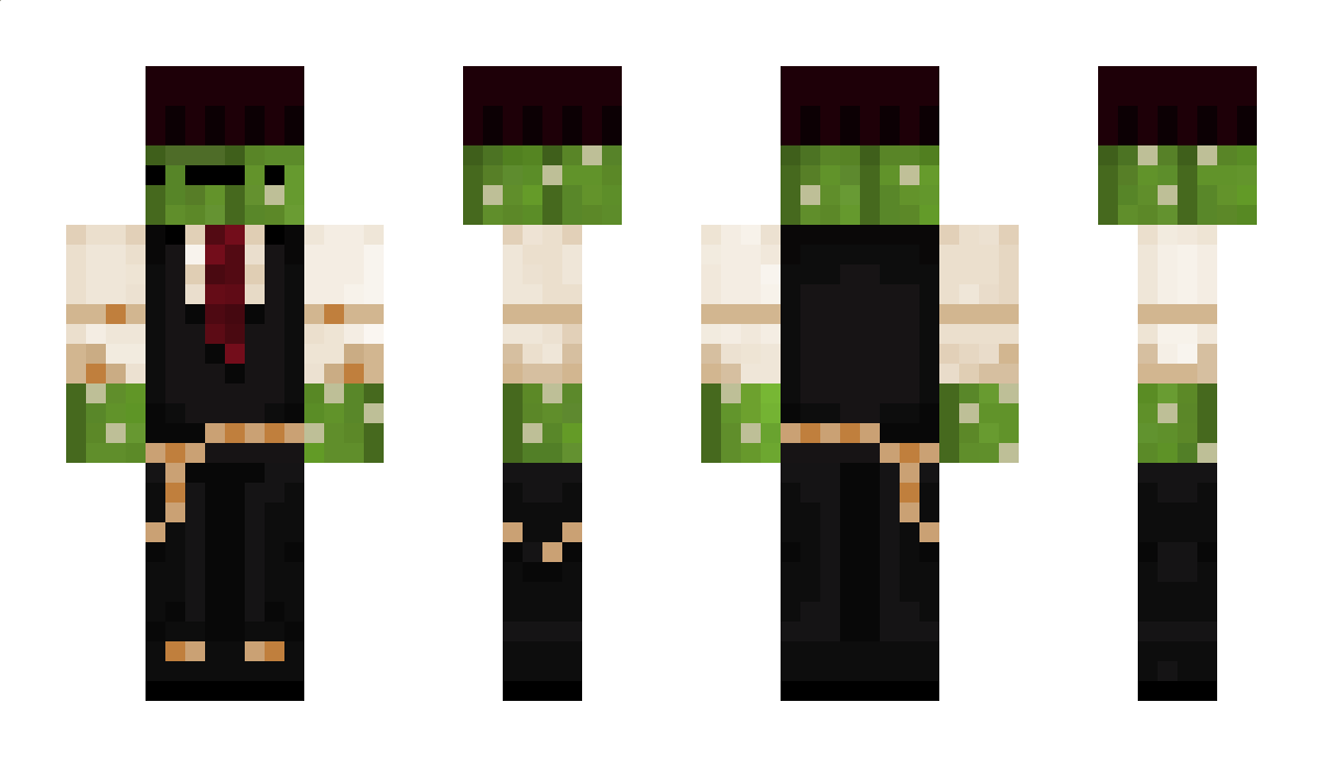 Bard398 Minecraft Skin