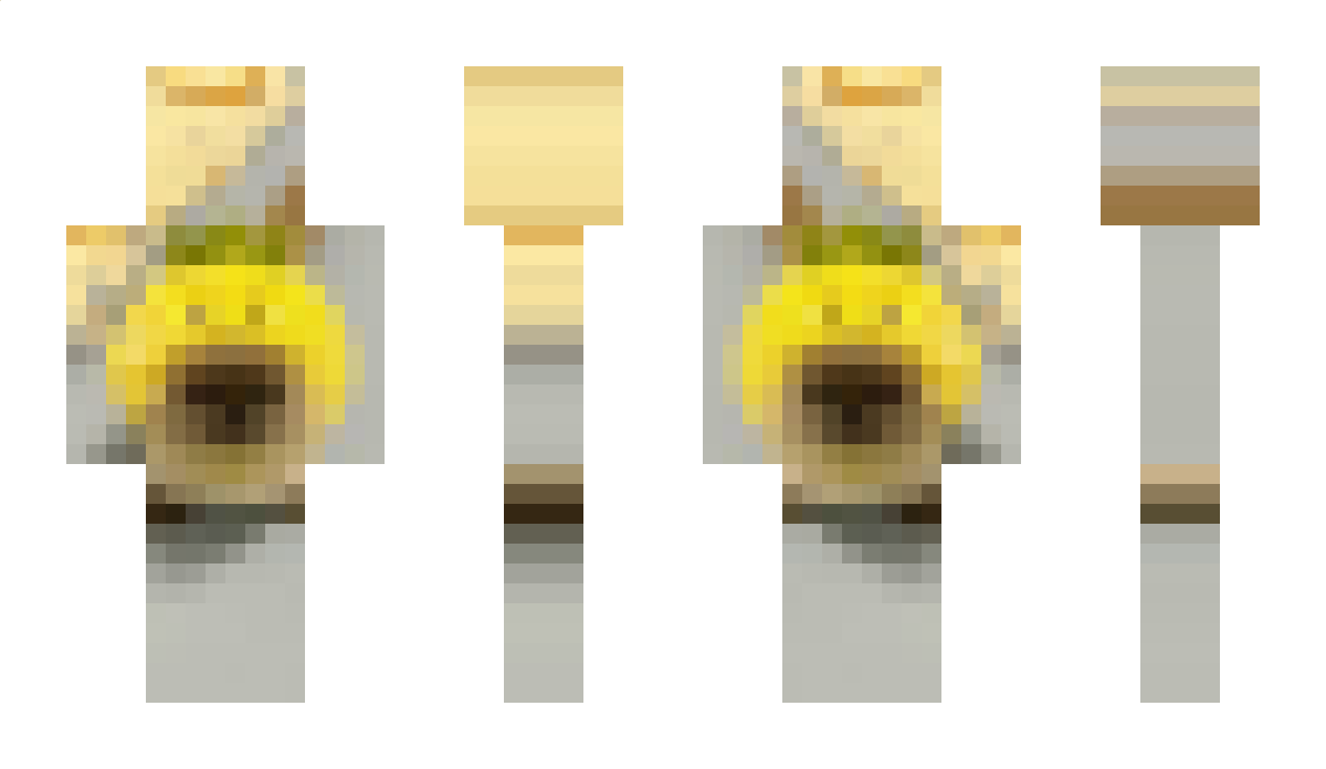 DUB_GEO Minecraft Skin