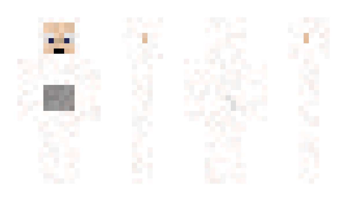 Renwiis Minecraft Skin