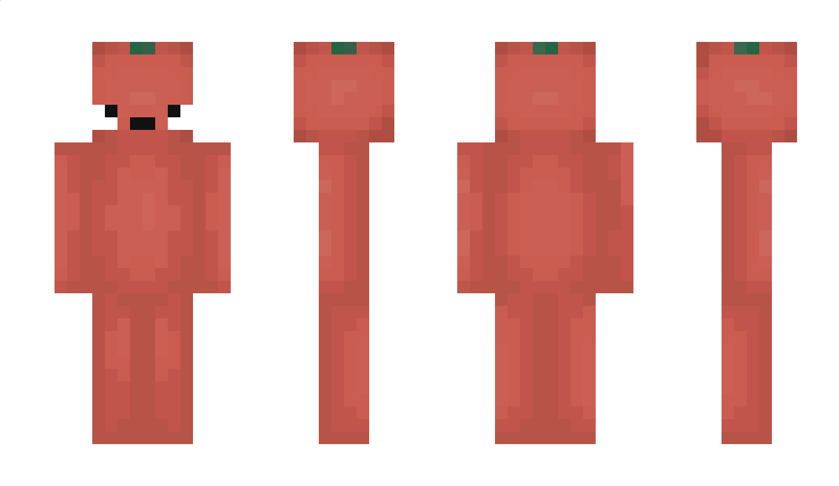 Gamer_TomatoGuy Minecraft Skin