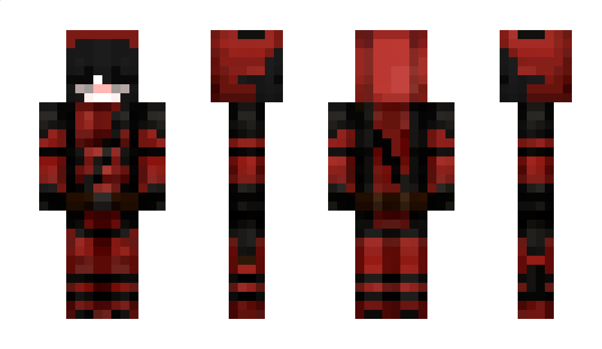 Nicolulu62 Minecraft Skin