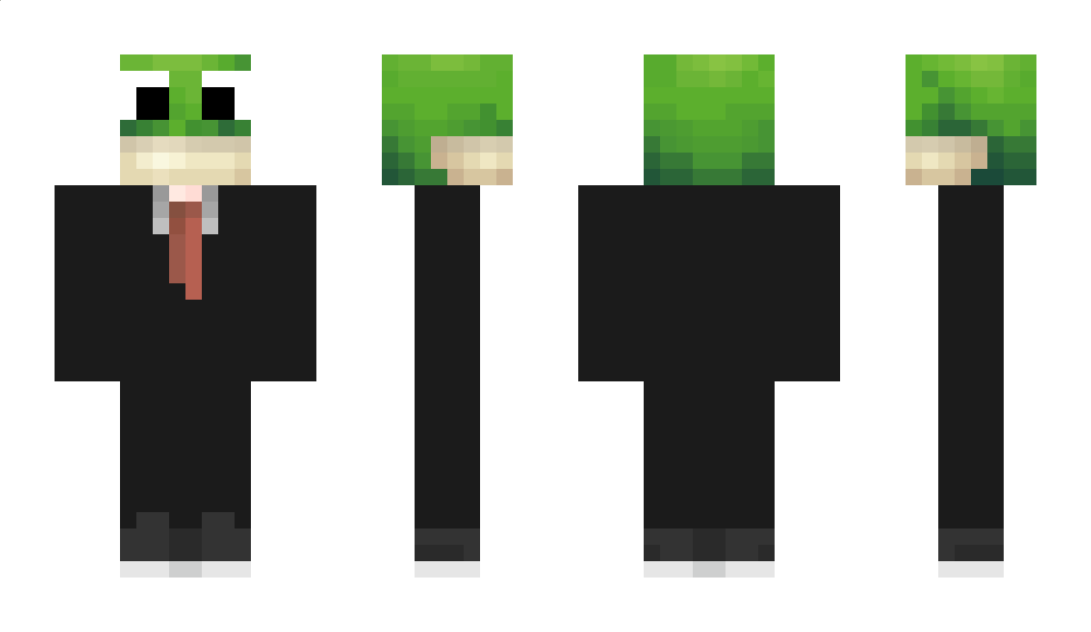 Spxctic_ Minecraft Skin