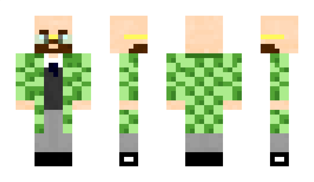 Xelplaying Minecraft Skin