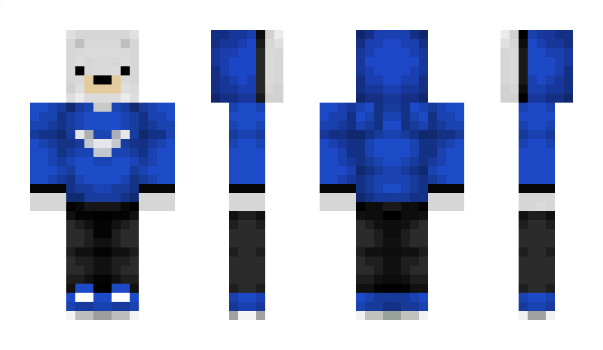 PolarMC Minecraft Skin