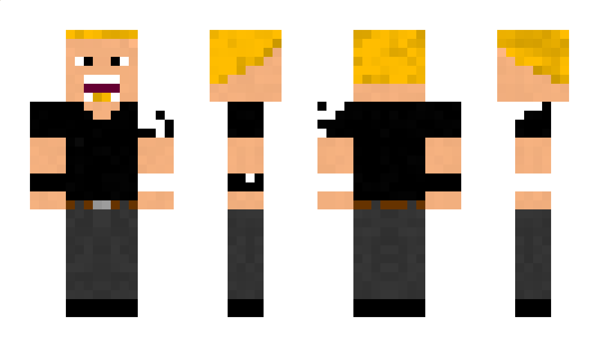 AlpSevsel Minecraft Skin