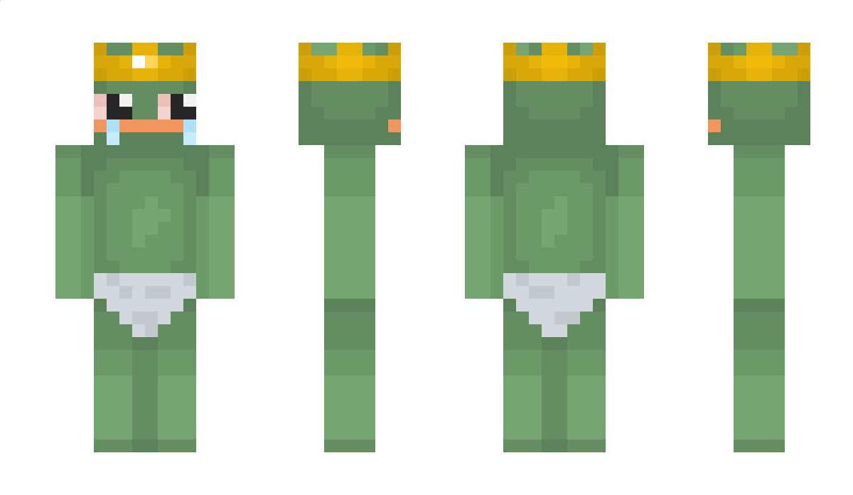 lolvn22 Minecraft Skin