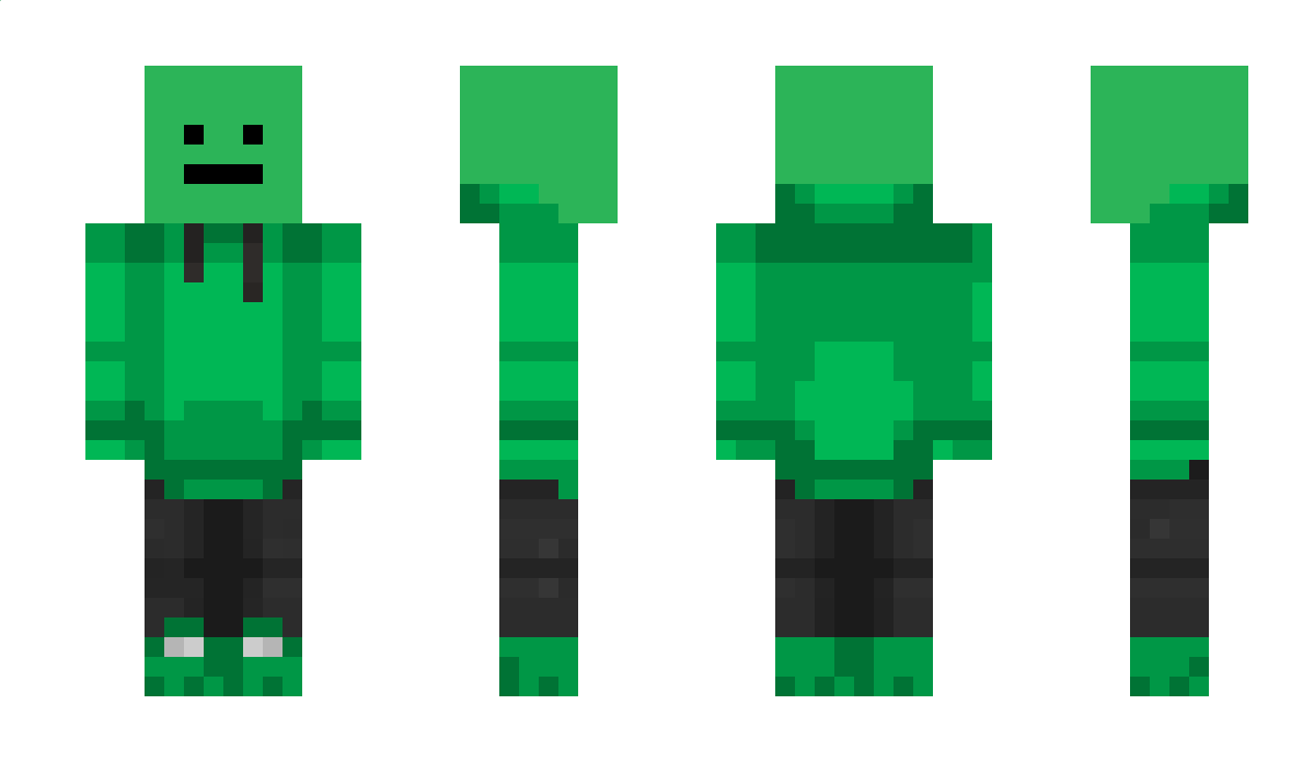 widgeonn Minecraft Skin