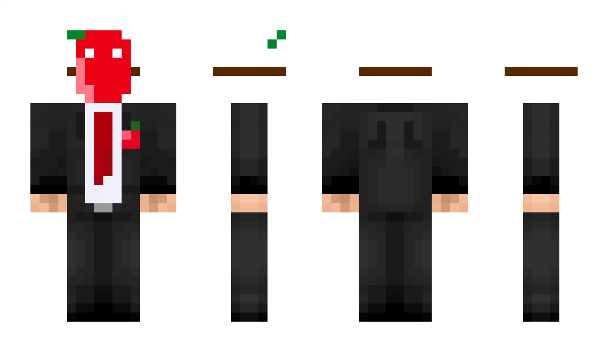 tomatox17 Minecraft Skin