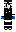 Lionzin00 Minecraft Skin