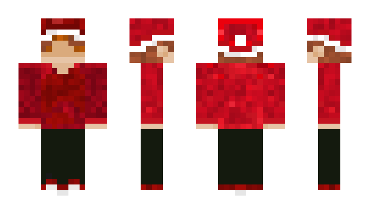 wittinq Minecraft Skin