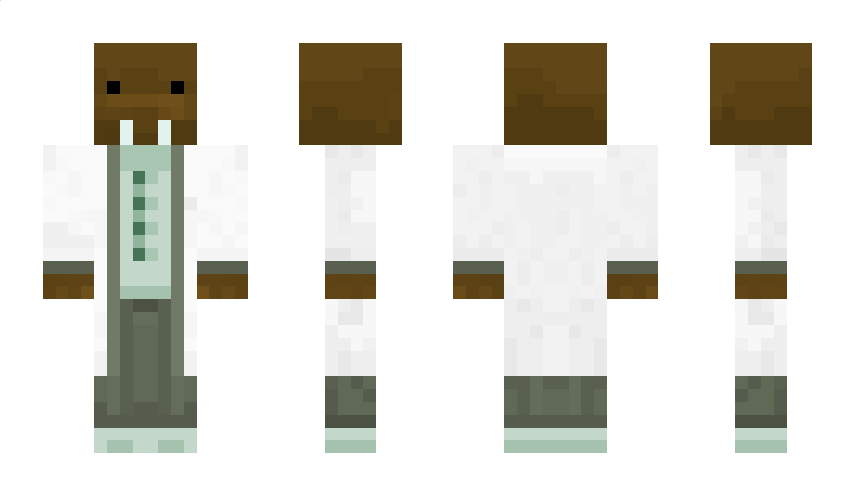 Ludin175 Minecraft Skin