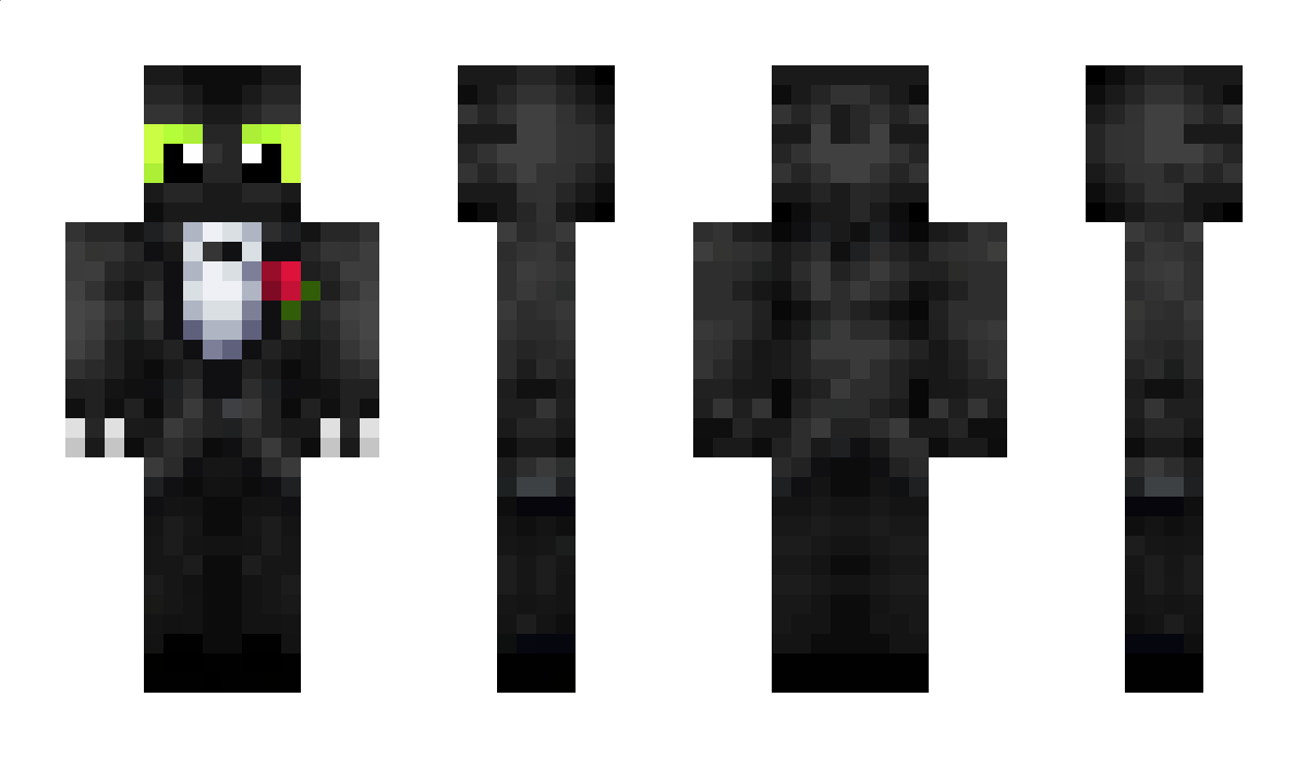 LE610 Minecraft Skin