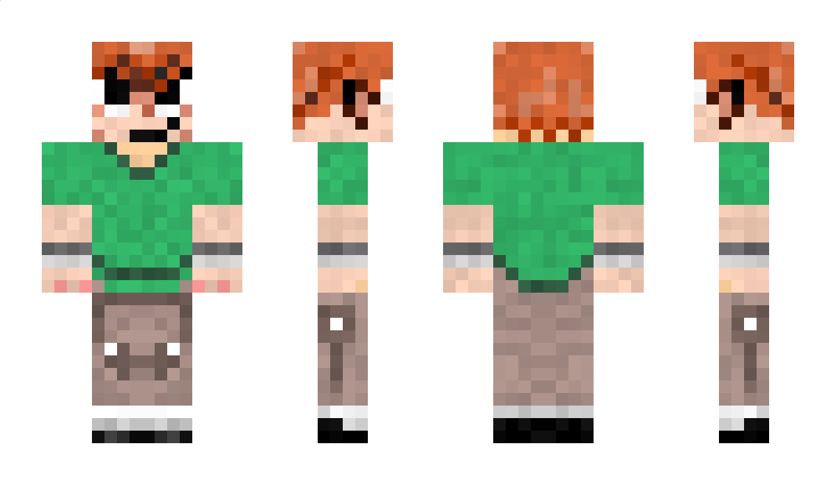 Metrics Minecraft Skin