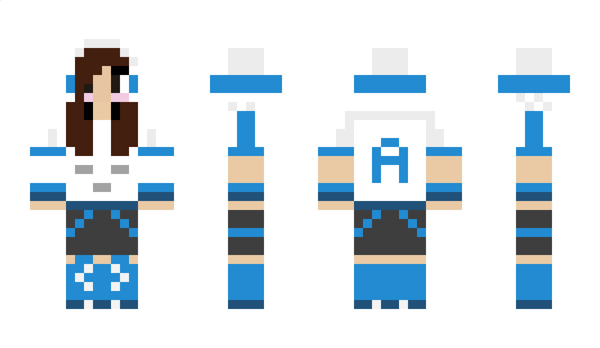 PietMondrian Minecraft Skin